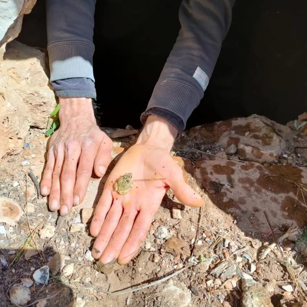 Aljub de pedra